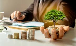 Investment Basics: A Fun and Easy Guide to Growing Your Money