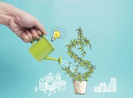 Investment Basics: A Fun and Easy Guide to Growing Your Money